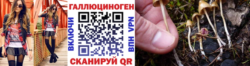 Галлюциногенные грибы ЛСД  гидра ссылки  Зеленогорск  купить закладку 